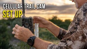 The Ultimate Guide to Trail Cameras: Capturing Wildlife Like Never Before