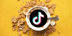 TikTok Video-to-Recipe: A New Era in Cooking Inspiration