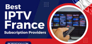 The Rise of IPTV in France: Revolutionizing the Way We Watch Television