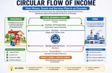 Circular Flow of Income: Understanding How Money Moves in an Economy