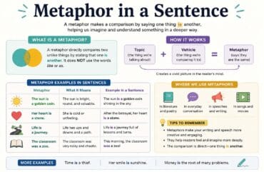 Metaphor in a Sentence