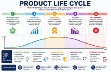 Product Life Cycle: A Complete Guide to Understanding Growth and Decline