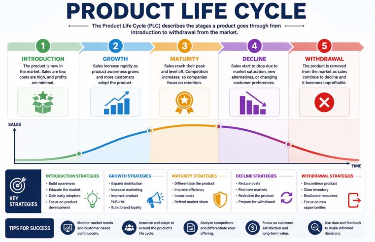 Product Life Cycle: A Complete Guide to Understanding Growth and Decline
