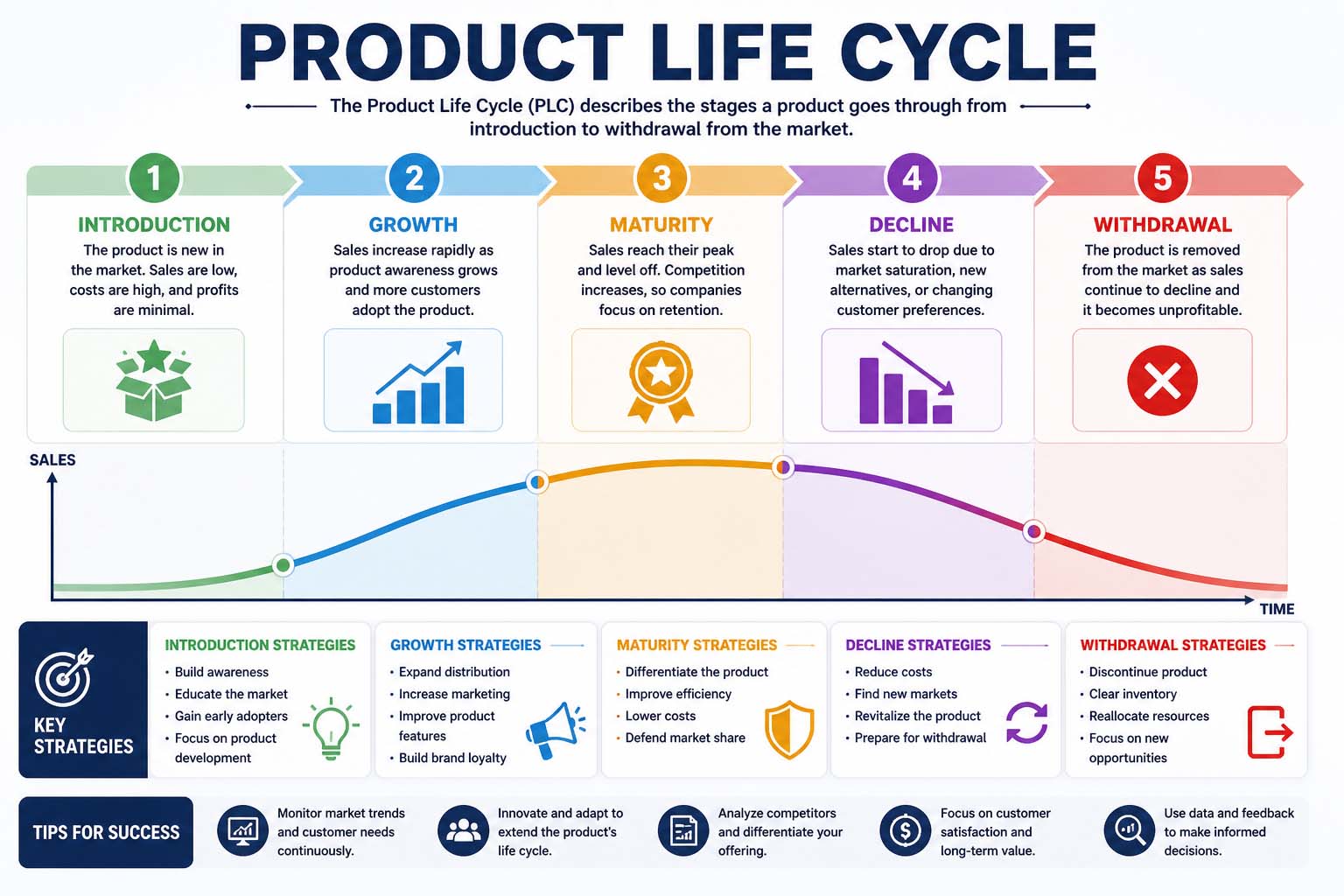 Product Life Cycle: A Complete Guide to Understanding Growth and Decline