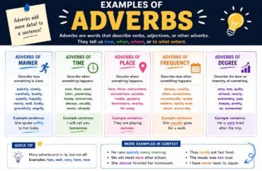 Examples of Adverbs: A Complete Guide for Students