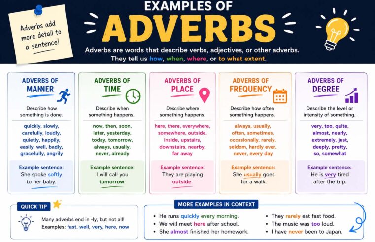 Examples of Adverbs: A Complete Guide for Students
