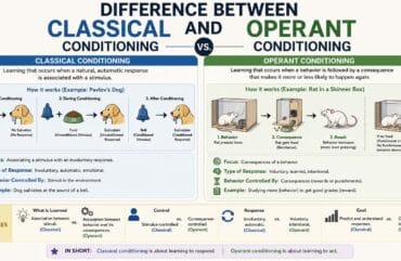Difference Between Classical and Operant Conditioning