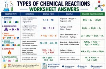 Types of Chemical Reactions Worksheet Answers: A Complete Study Guide