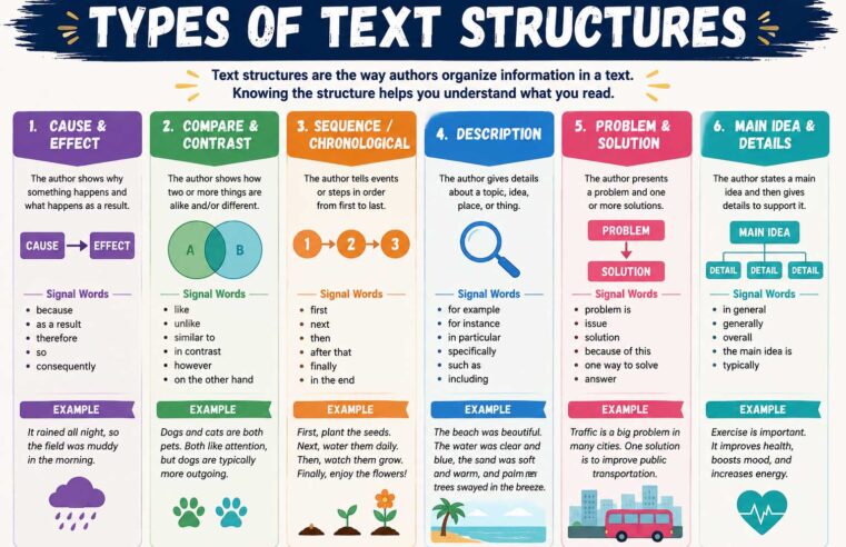 Types of Text Structures: A Complete Guide with Examples for Students