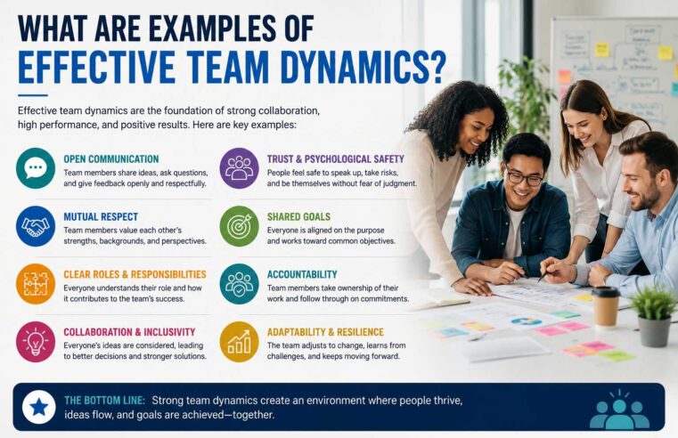 What Are Examples of Effective Team Dynamics? A Student-Friendly Guide
